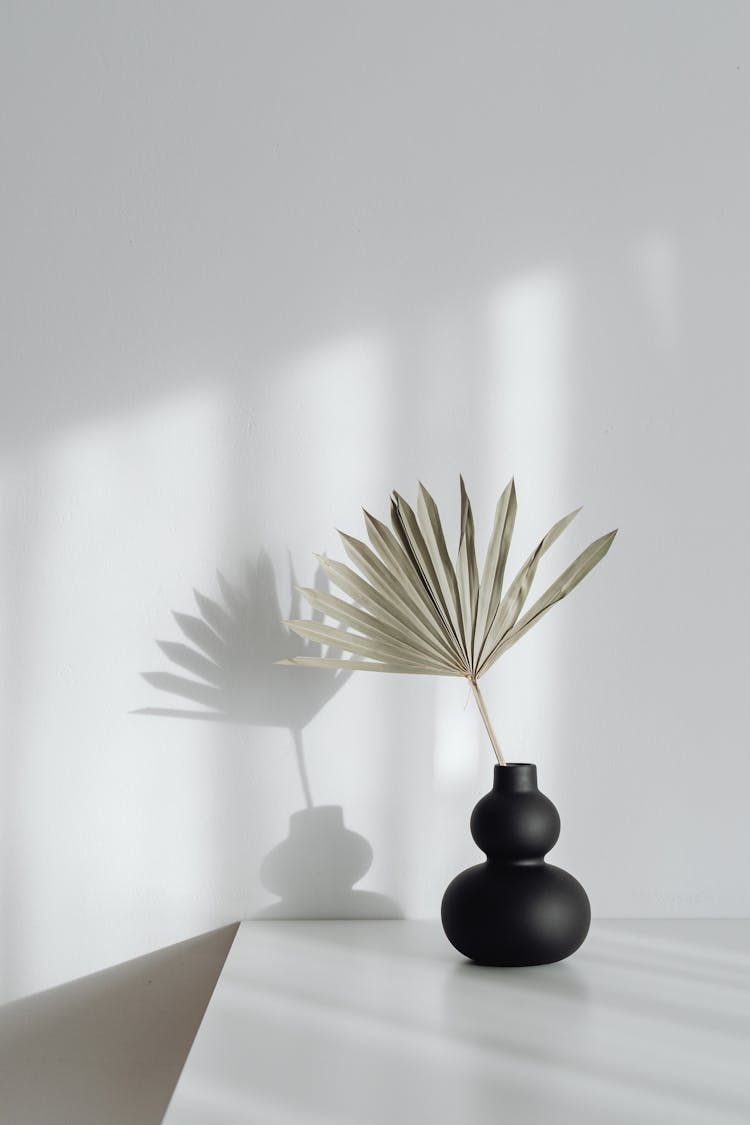 Vase With Plant In White Home Interior