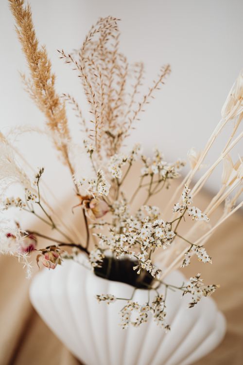 Free A delicate arrangement of dried flowers and grasses in a stylish white vase, perfect for home decor. Stock Photo