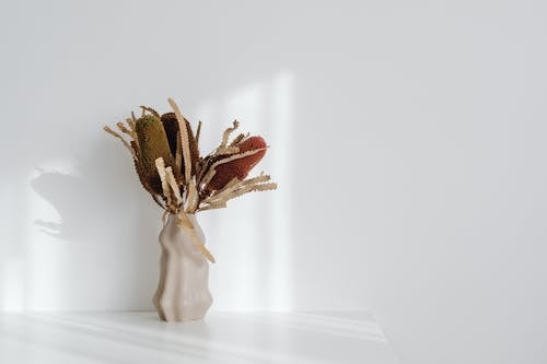 Vase with Dry Flowers on White Studio Background