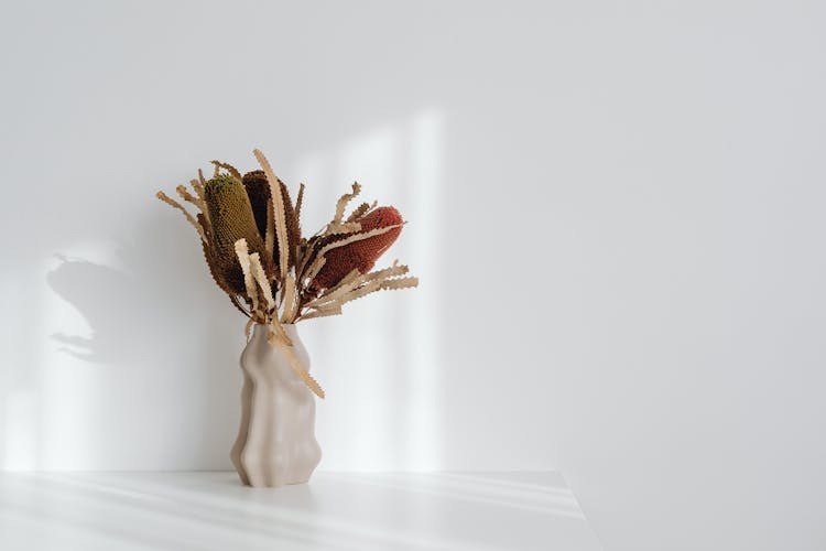 Vase With Dry Flowers On White Studio Background