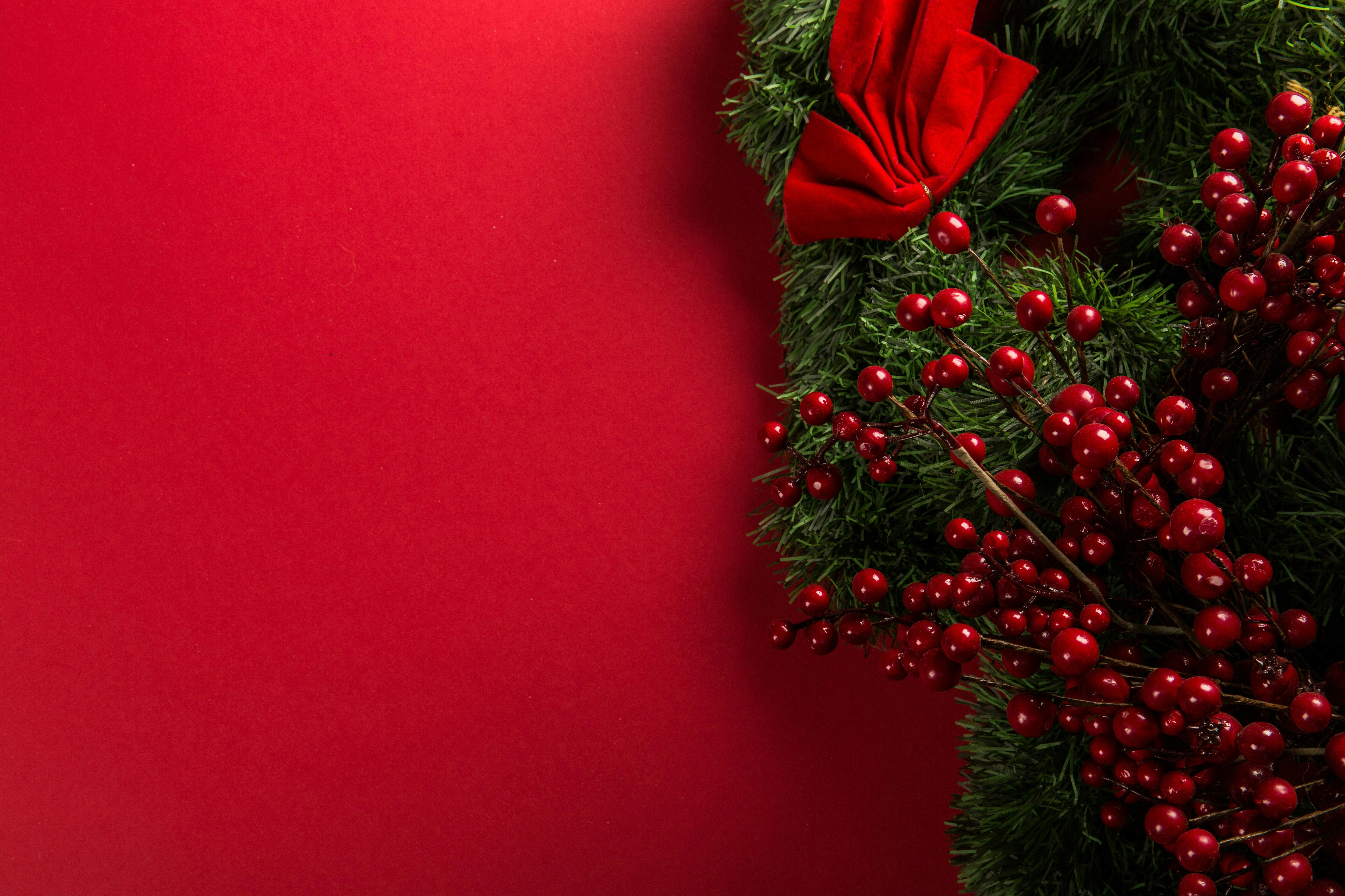 Red And Green Mistletoe Decoration · Free Stock Photo