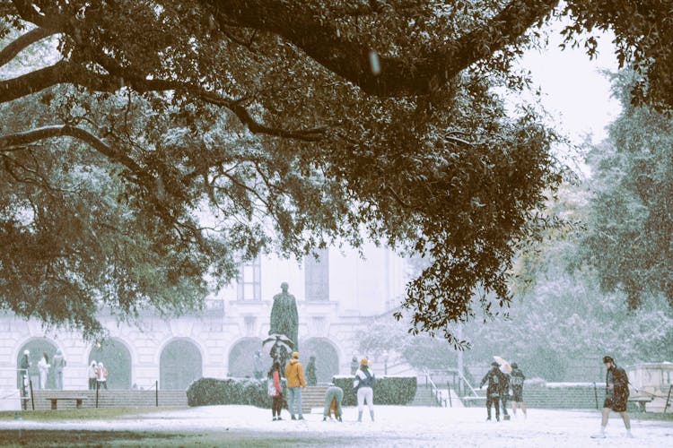 People Playing In The Snow