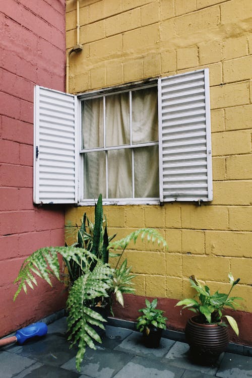 Curtains in Window on Yellow Wall