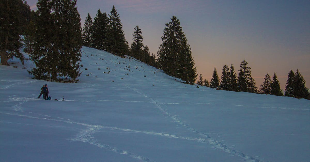 Free stock photo of evening-sky, snow, trees