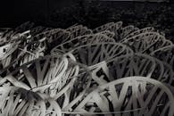 White and Brown Plant Leaves