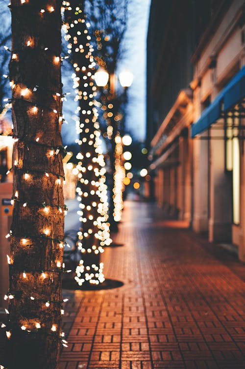Free Illuminating garland with yellow lights hanging on trees placed on city sidewalk in evening time Stock Photo