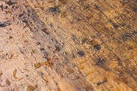 这张宏观图像展示了潮湿木制表面上的水滴，揭示了其纹理和自然图案