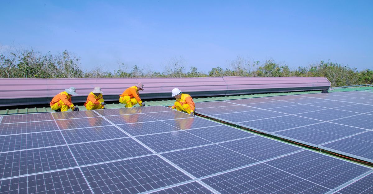Terpel desarrolla proyectos energéticos enfocados en movilidad sostenible y eficiencia operacional Terpel desarrolla proyectos energéticos enfocados en movilidad sostenible y eficiencia operacional