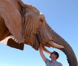 A man enjoys a close encounter with an African elephant in Oudtshoorn, South Africa.