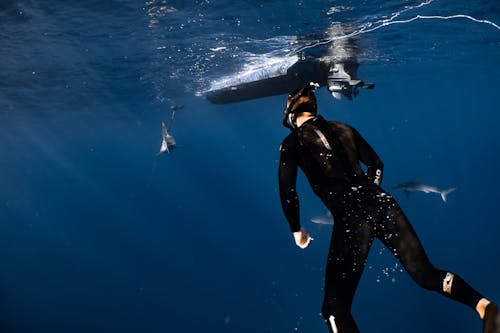 Free Back view anonymous male diver in wetsuit and snorkeling mask swimming in blue seawater near floating motorboat and fish Stock Photo