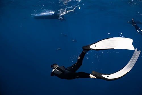 Back view anonymous diver wearing wetsuit and flippers swimming in dark blue seawater