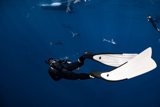 Back view anonymous diver in wetsuit flippers and snorkeling mask swimming in dark blue seawater
