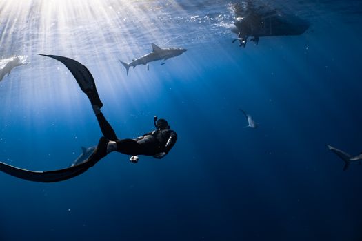 Anonymous diver swimming undersea near big fish