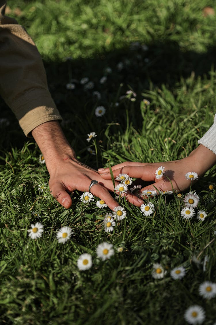 Two People Touching Each Other's Hands