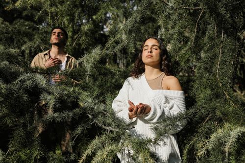 Free Two adults meditate peacefully amidst lush green trees in a forest. Stock Photo