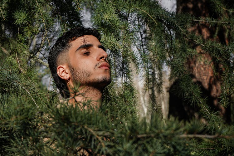 A Man Standing Behind The Plant