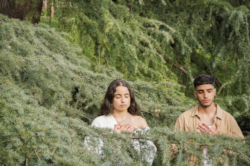 A Man and a Woman Standing Beside a Conifer Meditating