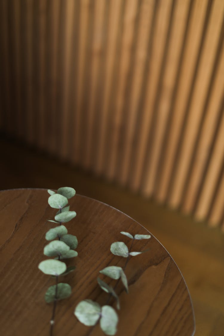 Dried Eucalyptus Branches On A Table