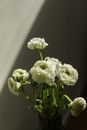 Free stock photo of bathroom, bouquet, color