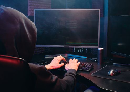 Person in Black Long Sleeve Shirt Playing Computer