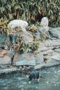 White Polar Bear on Gray Rock
