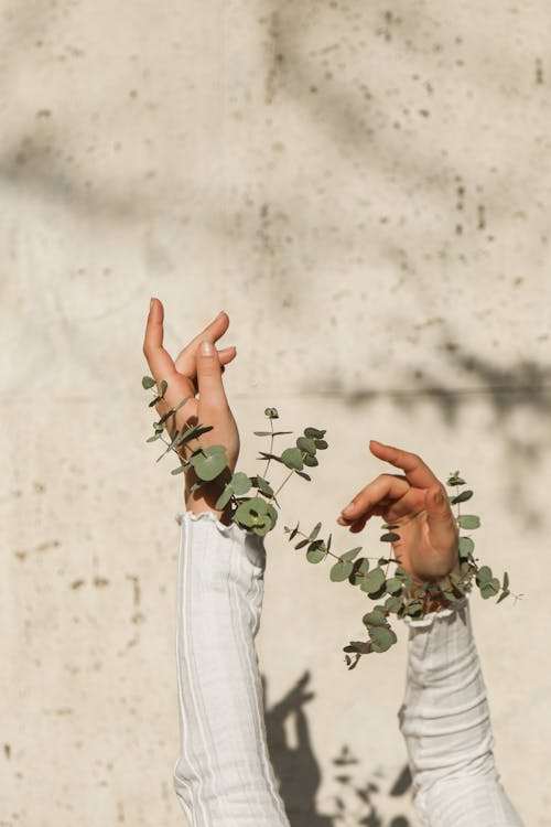 Free Hands Up with Green Leaves Stock Photo