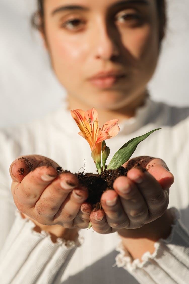 Woman Holding A Flower Plant With Soil