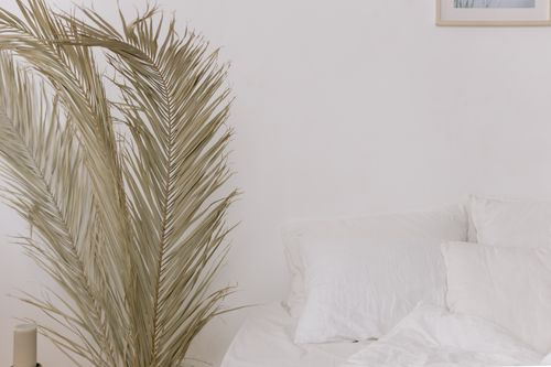 Free A cozy white bedroom featuring a minimalist style with dried palm leaves as decor against a white wall. Stock Photo