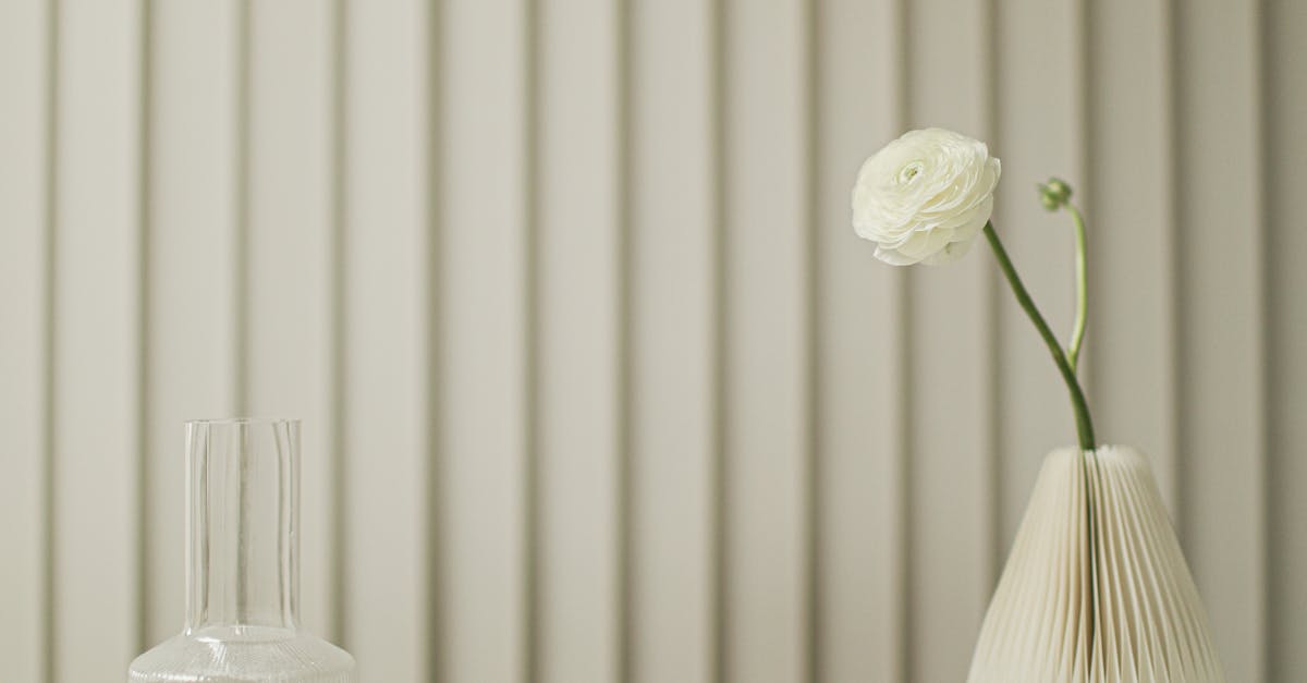 Minimalist decor featuring a ceramic vase and glassware on a clean table in a serene setting.