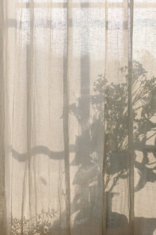 Plants Shadow behind Curtain