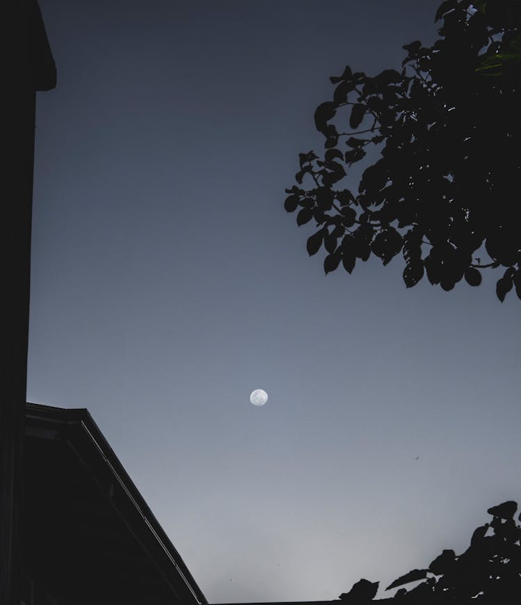 Moon Shining On Dark Sky Above Building