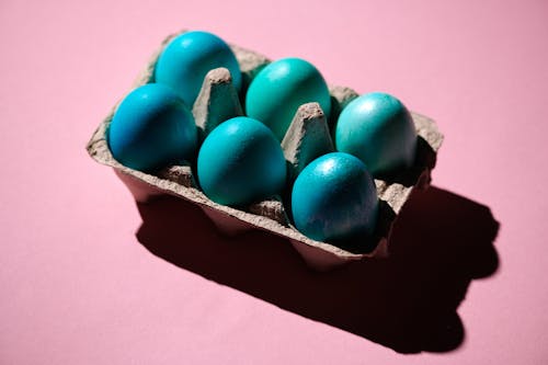 Free Blue Eggs on Tray  Stock Photo