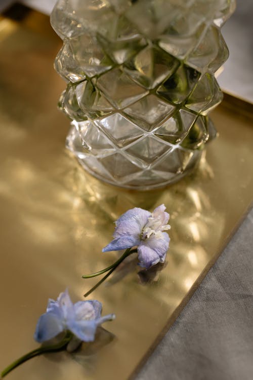 Free Clear Glass Flower Vase Beside Two Purple Flowers Stock Photo