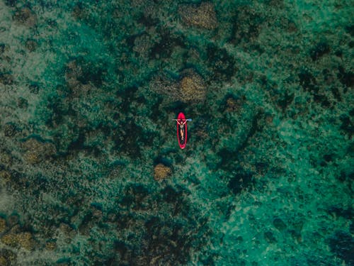 Free Aerial View of a Person Lying on a Surfboard Stock Photo