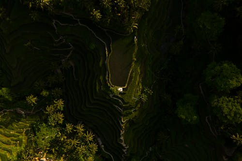 Foto profissional grátis de agrícola, fotografia aérea, montanha