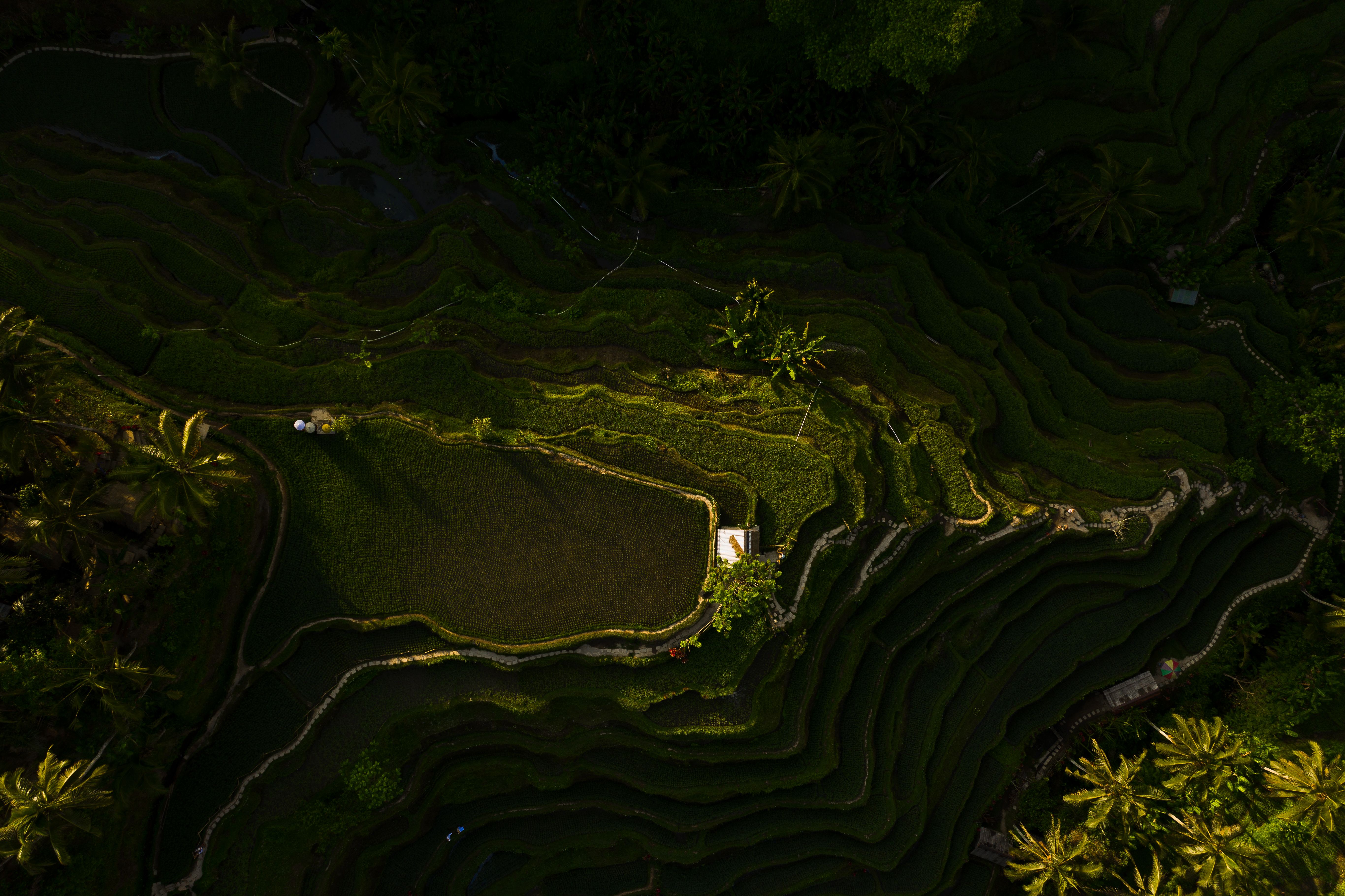 Ubud