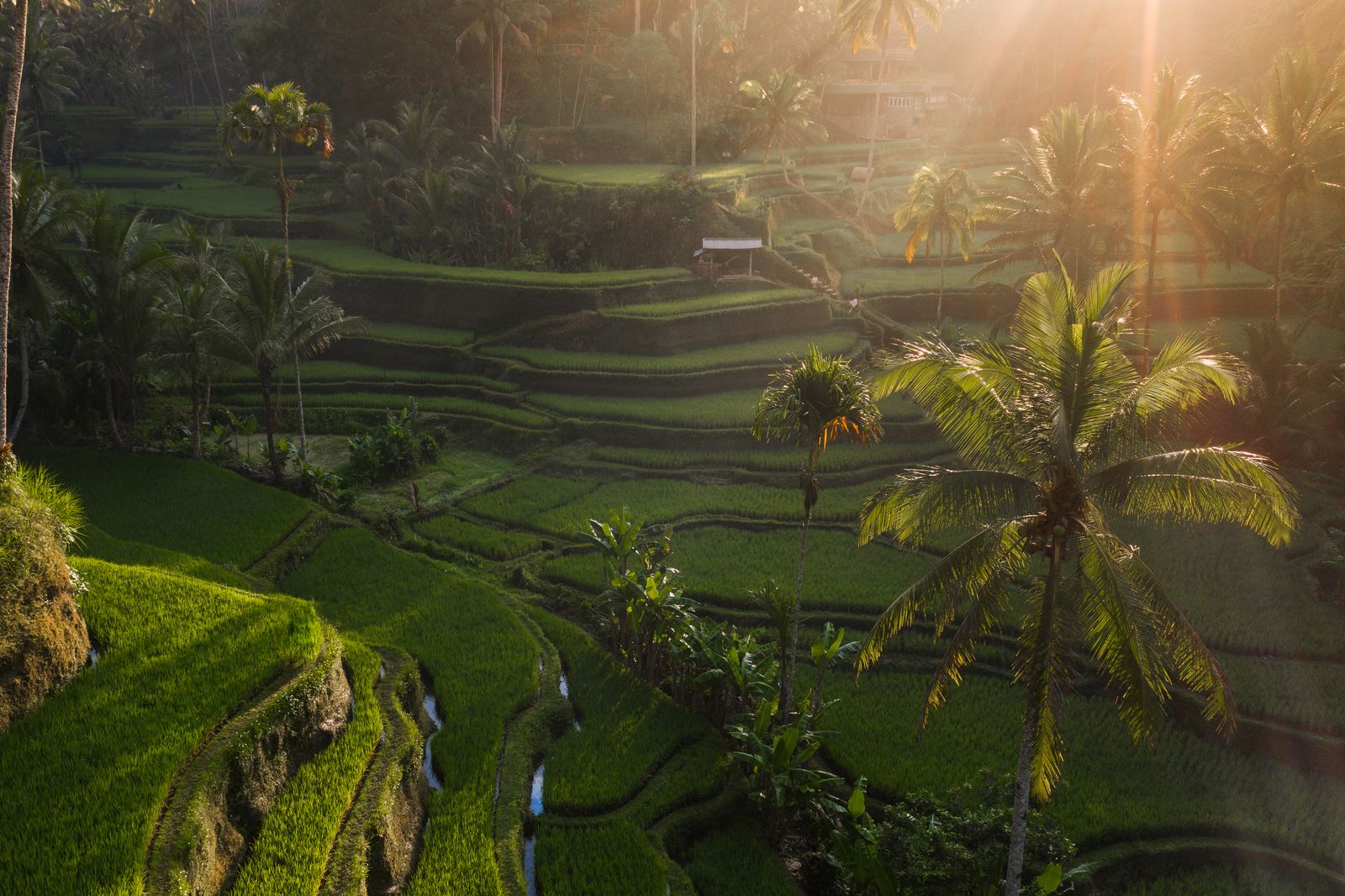 Indonesia