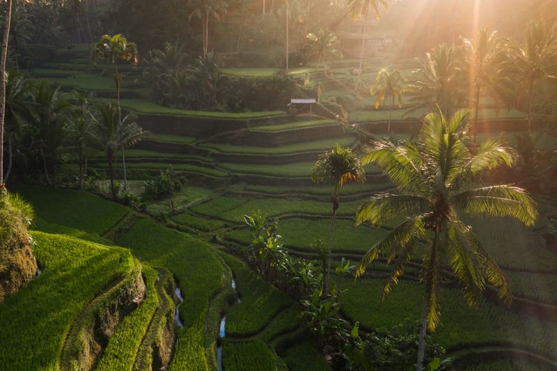 Indonesia