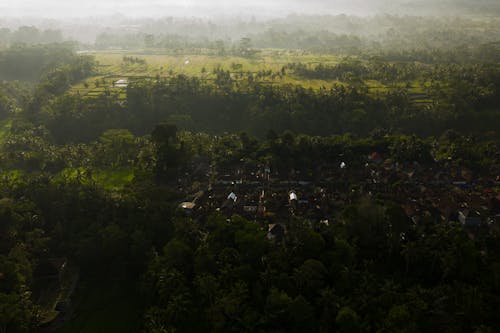 Foto stok gratis atap, fotografi udara, kabut