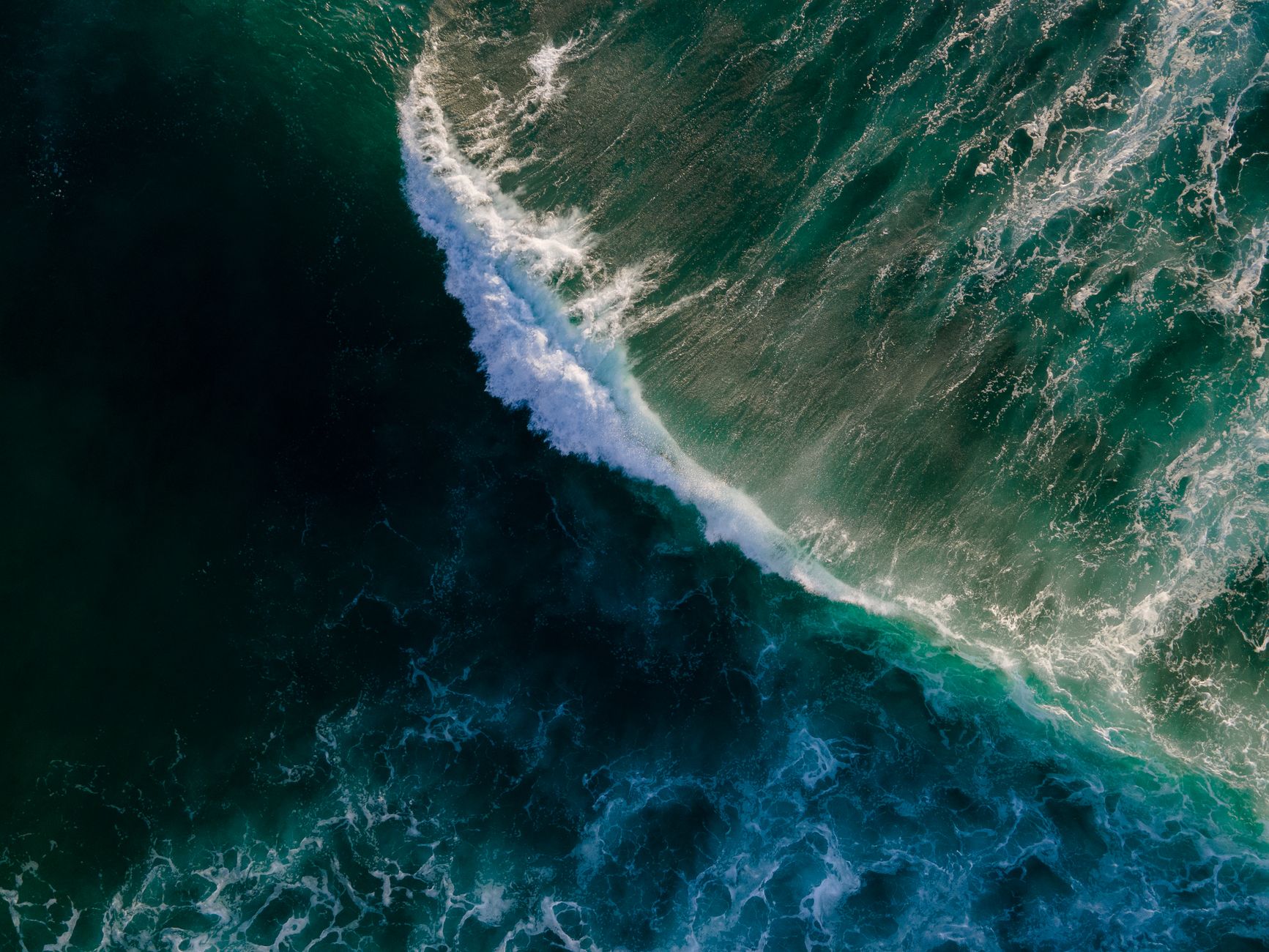 VC Funding Surge: Inside Atum, Bird&Be, Nexstrom & Rising Tide’s Latest Deals