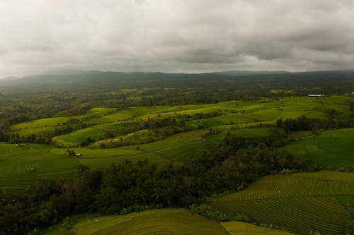 Foto profissional grátis de agricultura, árvores, céu nublado