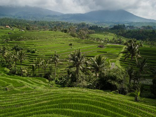 Free A breathtaking aerial shot showcasing vibrant green rice terraces set against a mountainous backdrop. Stock Photo