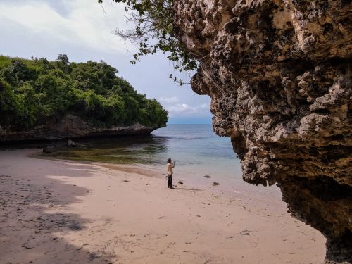 Free A person captures a tranquil scene on a secluded rocky beach with lush greenery. Stock Photo