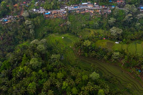 Free Stunning aerial photo capturing green rice terraces and a village surrounded by lush vegetation. Stock Photo