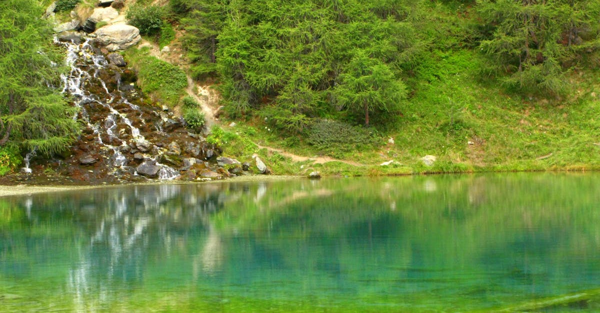 Free stock photo of green, hike, lake