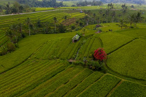 Agricultural Land in the Countryside