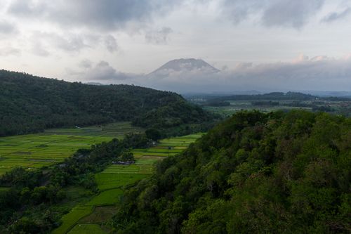 Free Scenic aerial view of lush green rice paddies and forested hills under a cloudy sky. Stock Photo
