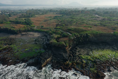 Green and Mossy Cliff Near Body of Water