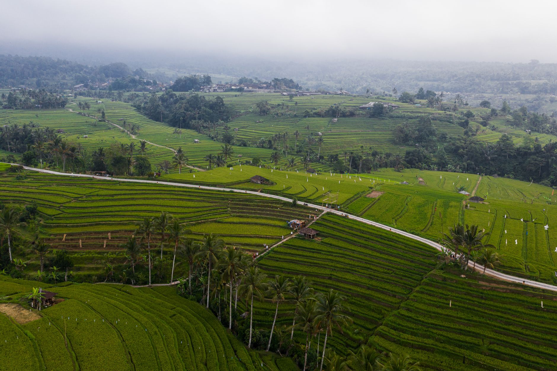 Bali rice terraces aerial view