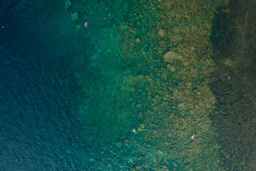 Free 
An Aerial Shot of People Swimming in the Ocean Stock Photo